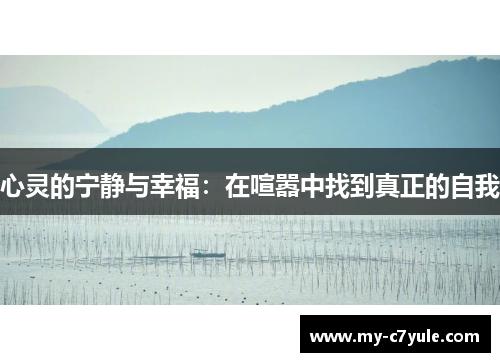 心灵的宁静与幸福：在喧嚣中找到真正的自我